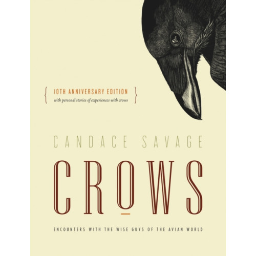 Greystone Books,Canada Crows (häftad, eng)