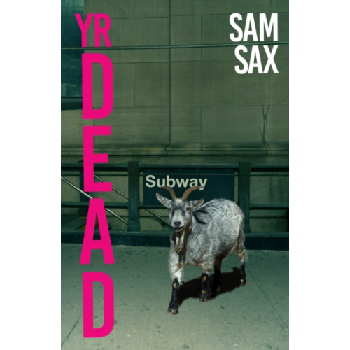 Daunt Books Yr Dead (häftad, eng)