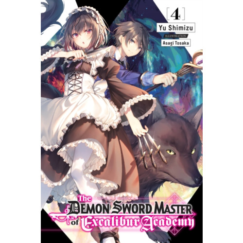 Little, Brown & Company The Demon Sword Master of Excalibur Academy, Vol. 4 (light novel) (häftad, eng)