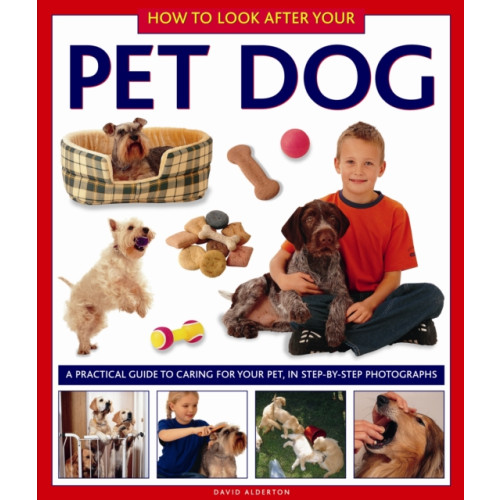 Anness publishing How to Look After Your Pet Dog (inbunden, eng)