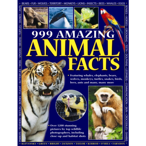 Anness publishing 999 Amazing Animal Facts (häftad, eng)