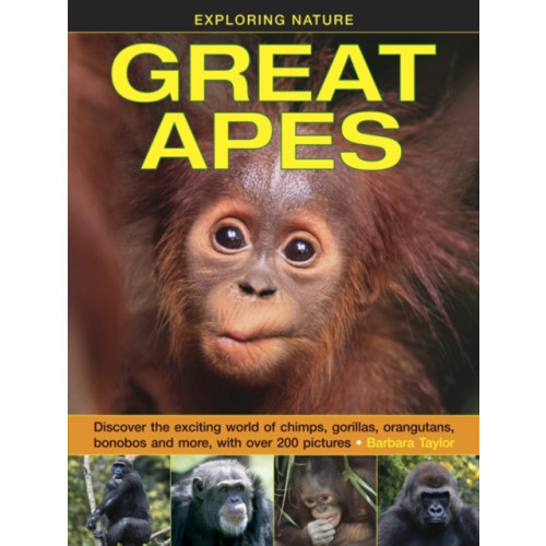 Anness publishing Exploring Nature: Great Apes (inbunden, eng)