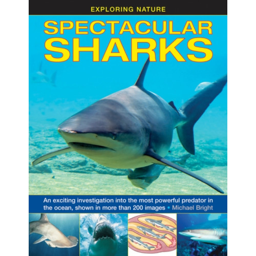 Anness publishing Exploring Nature: Spectacular Sharks (inbunden, eng)