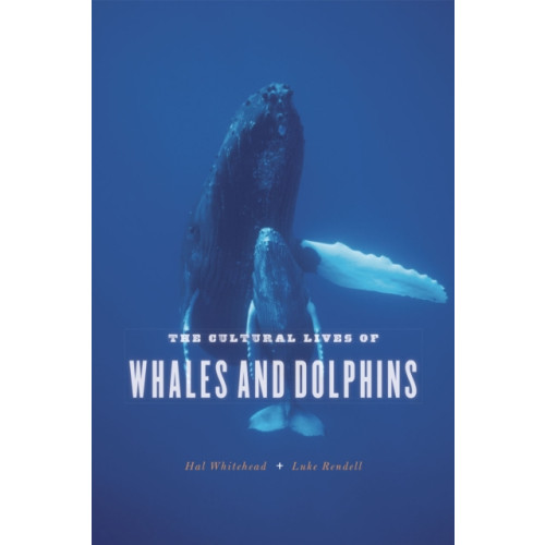 The university of chicago press The Cultural Lives of Whales and Dolphins (häftad, eng)