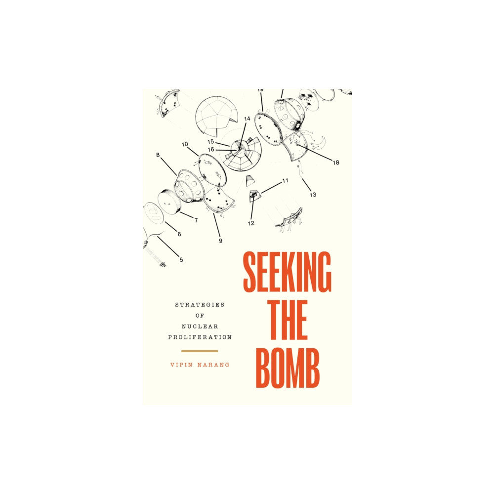 Produktbild för Seeking the Bomb (häftad, eng)