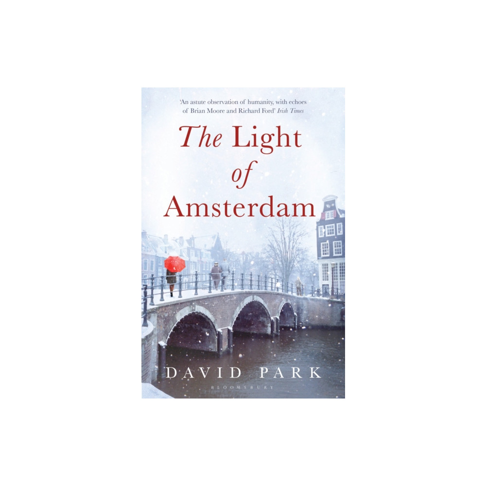 Produktbild för The Light of Amsterdam (häftad, eng)