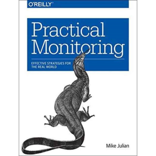 O'Reilly Media Practical Monitoring (häftad, eng)