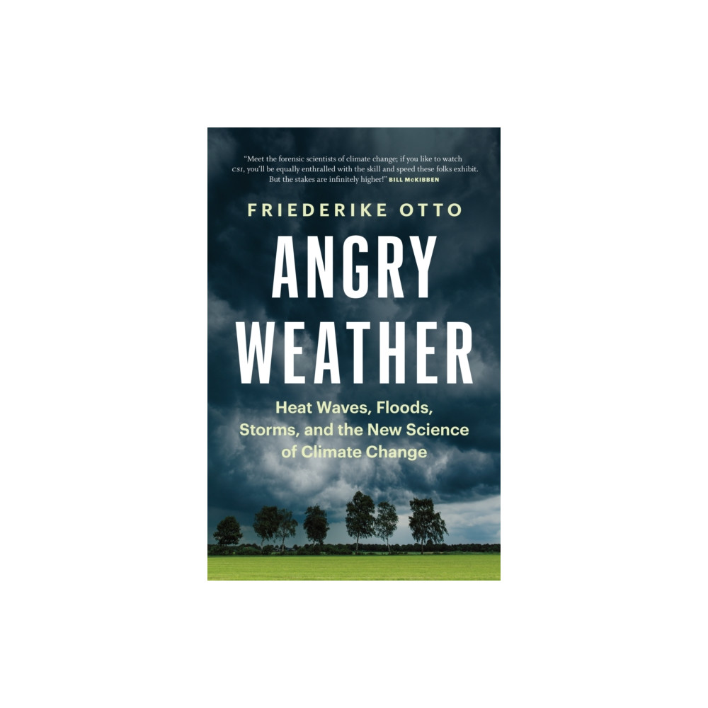 Produktbild för Angry Weather (häftad, eng)