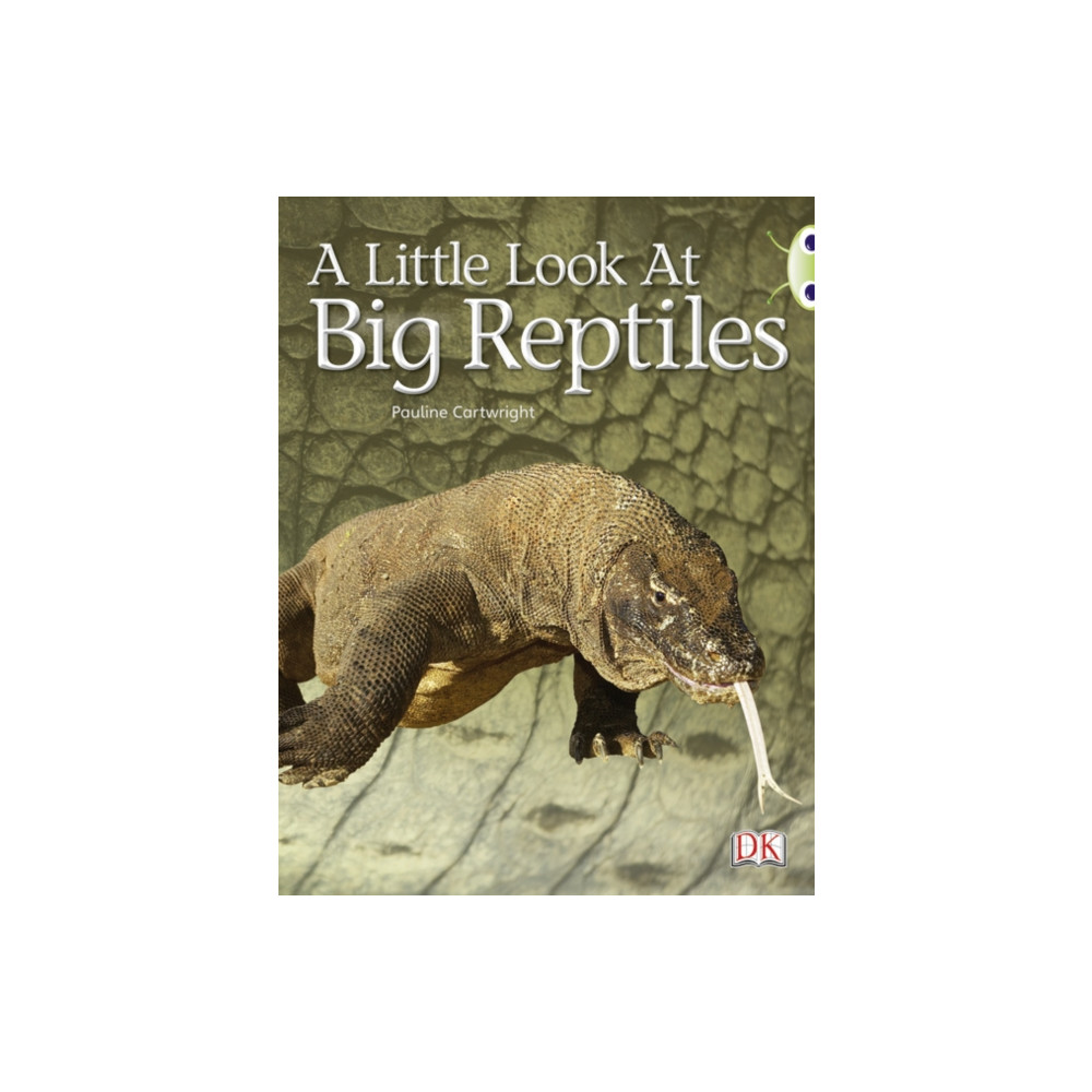 Produktbild för Bug Club Guided Non Fiction Year 1 Blue B A Little Look at Big Reptiles (häftad, eng)