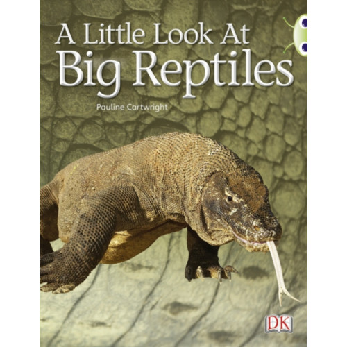 Pearson Education Limited Bug Club Guided Non Fiction Year 1 Blue B A Little Look at Big Reptiles (häftad, eng)