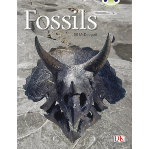 Pearson Education Limited Bug Club Guided Non Fiction Year Two Gold A Fossils (häftad, eng)