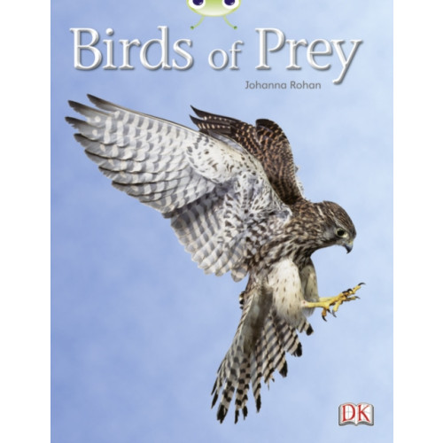 Pearson Education Limited Bug Club Independent Non Fiction Year Two White A Birds of Prey (häftad, eng)