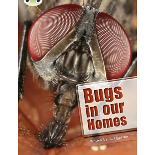 Pearson Education Limited Bug Club Independent Non Fiction Year Two Lime A Bugs in our Homes (häftad, eng)