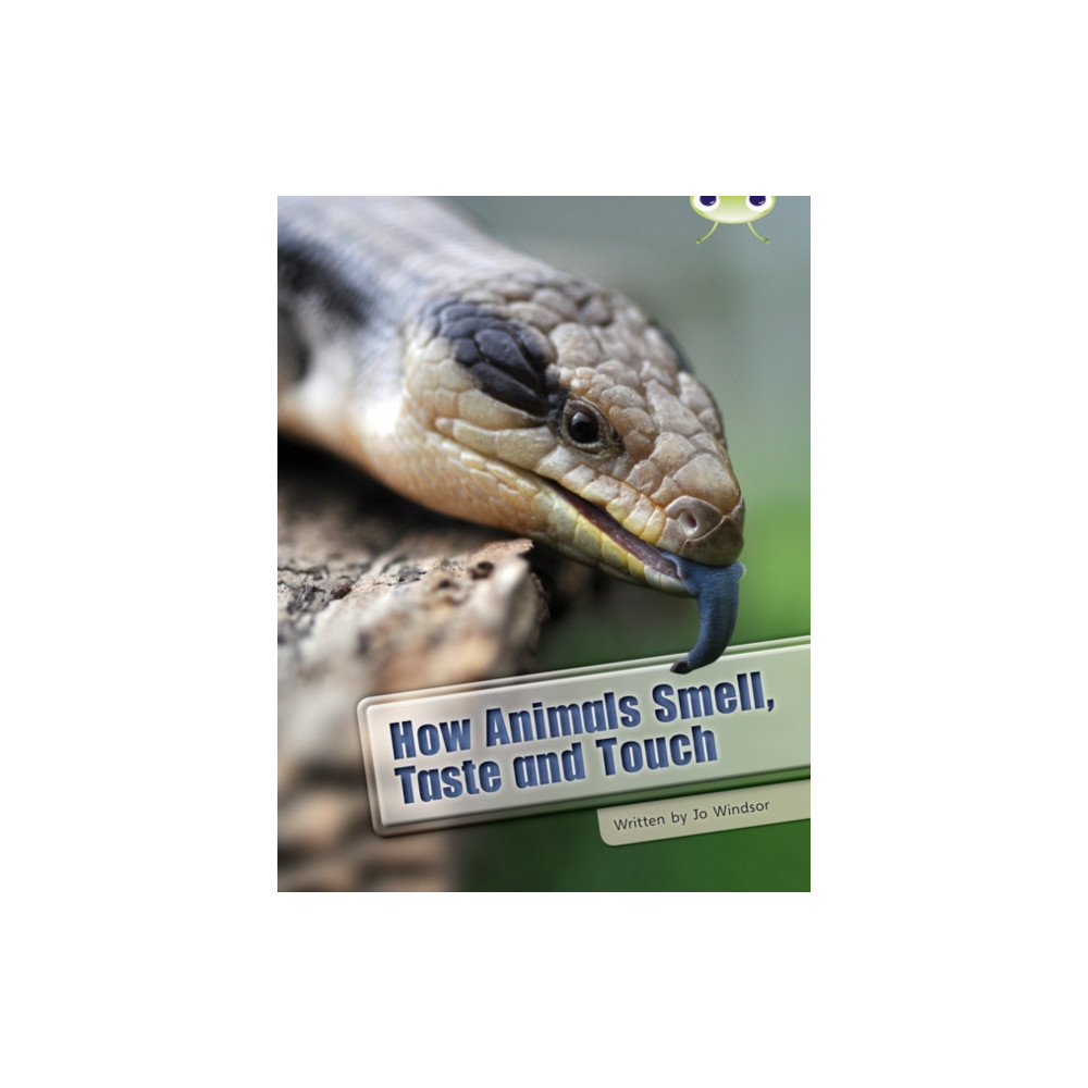 Produktbild för Bug Club Independent Non Fiction Year Two White A How Animals Smell, Taste and Touch (häftad, eng)