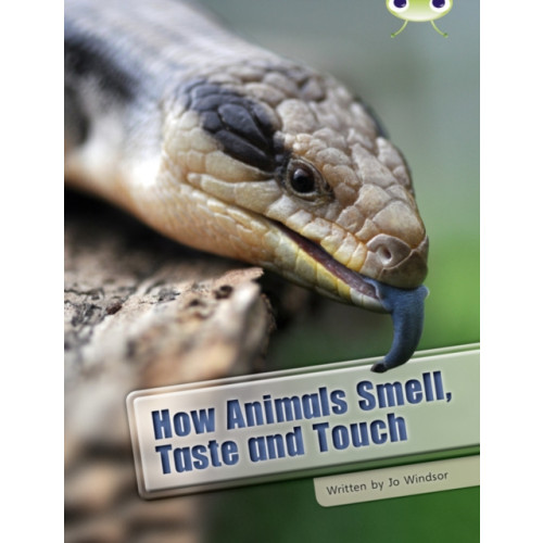 Pearson Education Limited Bug Club Independent Non Fiction Year Two White A How Animals Smell, Taste and Touch (häftad, eng)