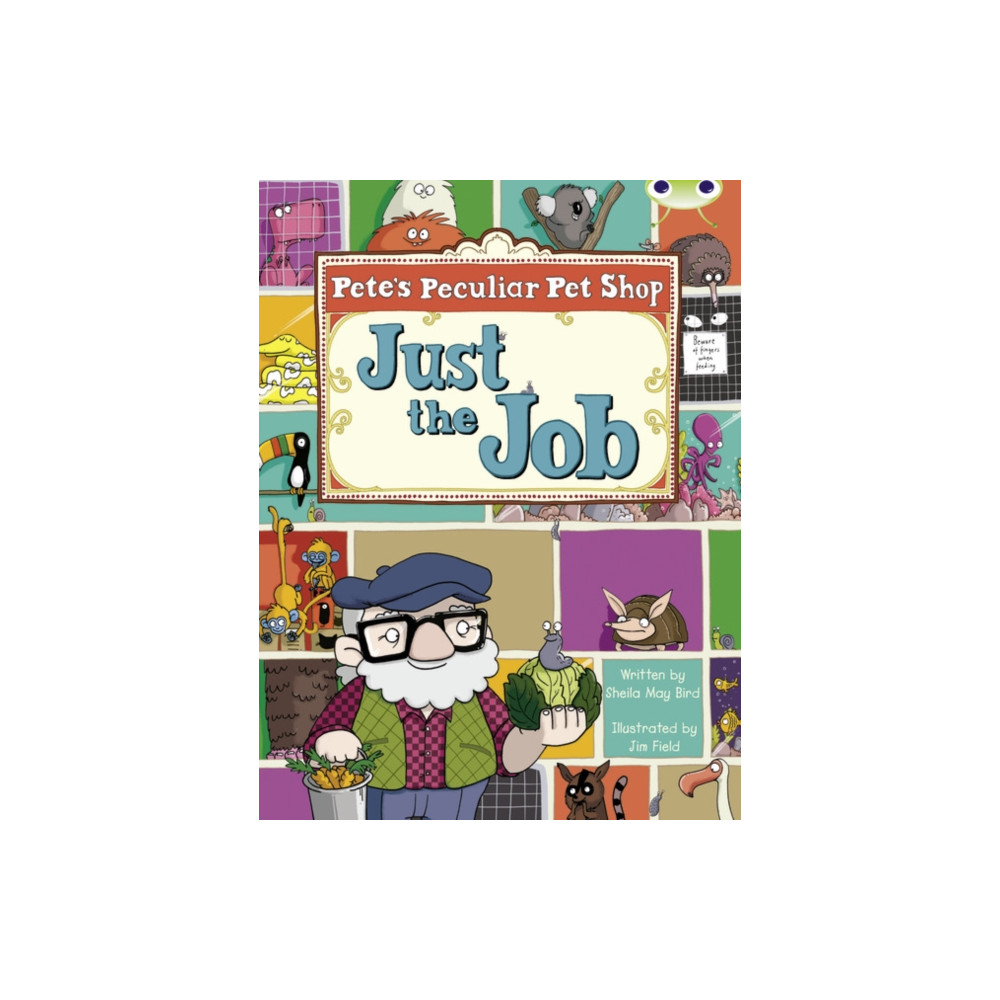 Produktbild för Bug Club Guided Fiction Year Two Turquoise B Pete's Peculiar Pet Shop: Just the Job (häftad, eng)