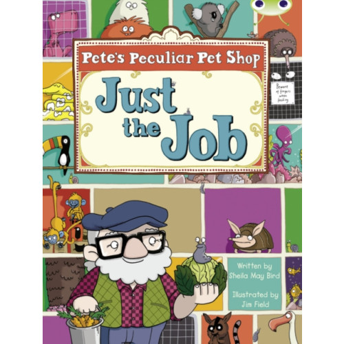 Pearson Education Limited Bug Club Guided Fiction Year Two Turquoise B Pete's Peculiar Pet Shop: Just the Job (häftad, eng)
