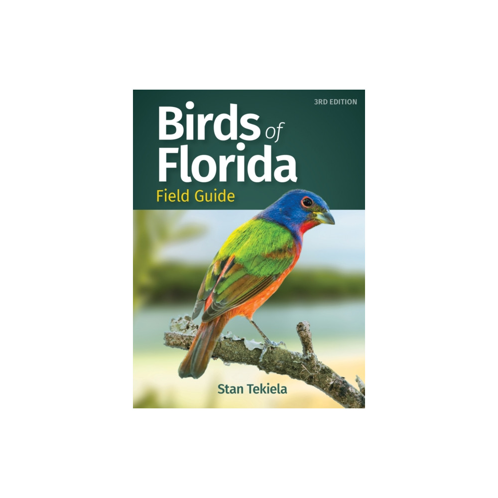 Produktbild för Birds of Florida Field Guide (häftad, eng)