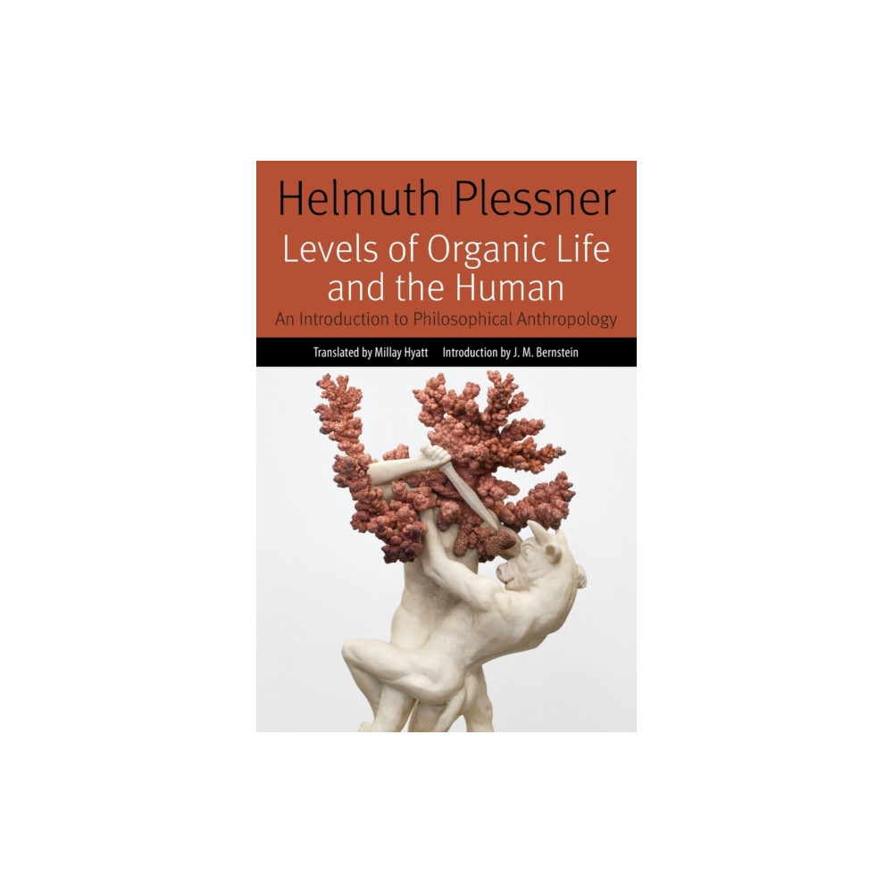 Produktbild för Levels of Organic Life and the Human (häftad, eng)