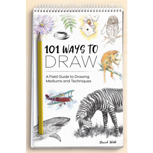 David & Charles 101 Ways to Draw (häftad, eng)