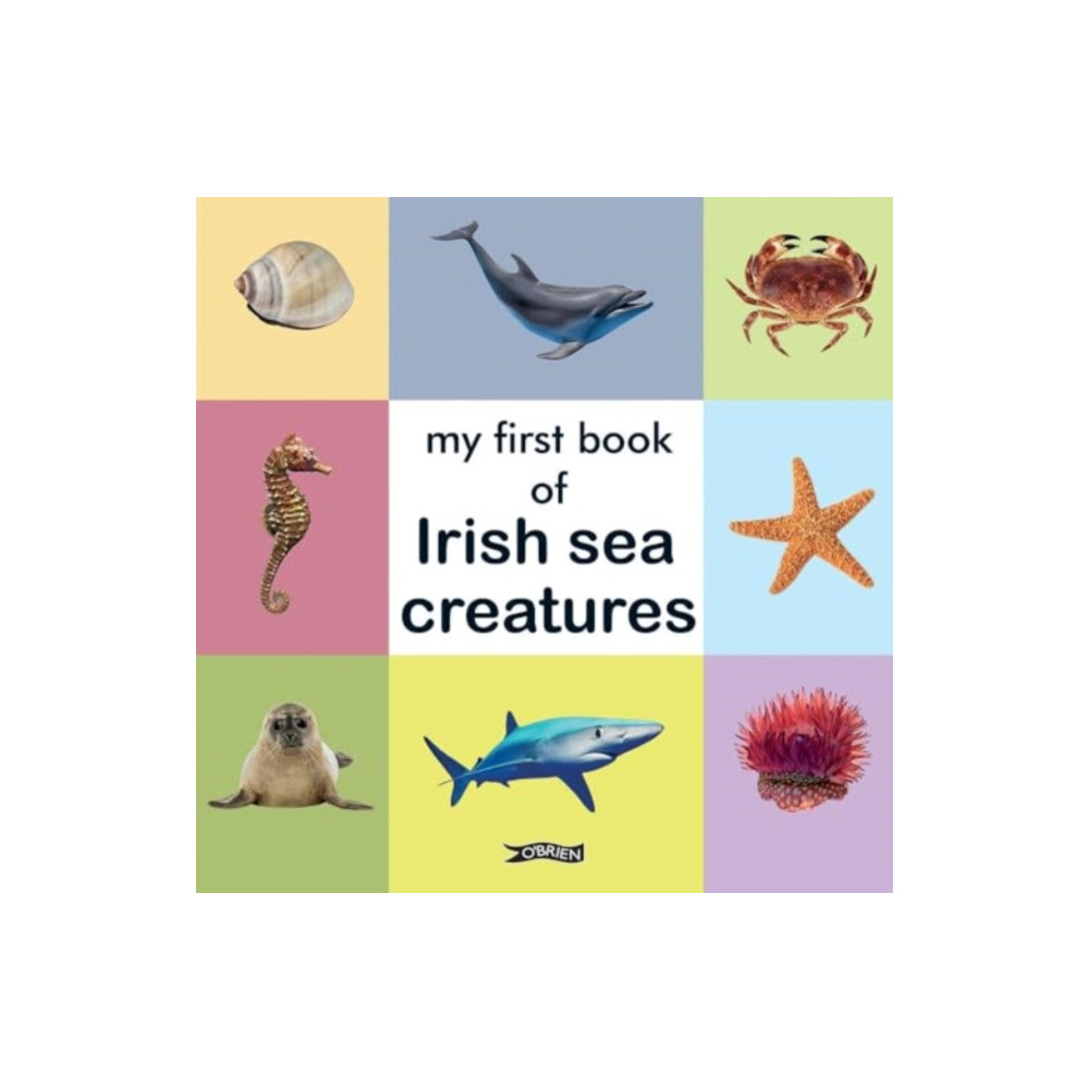 Produktbild för My First Book of Irish Sea Creatures (bok, board book, eng)