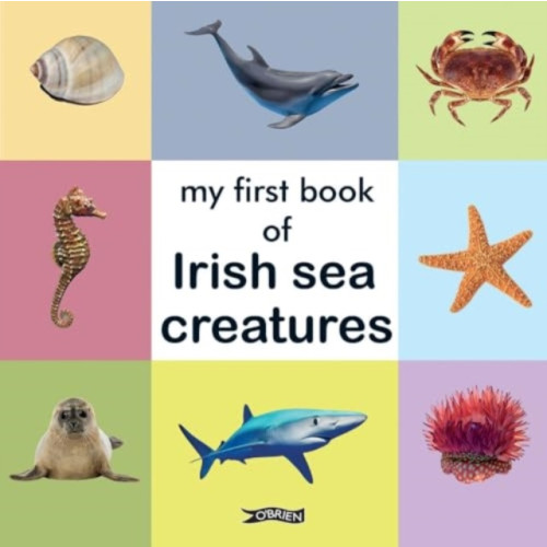 O'Brien Press Ltd My First Book of Irish Sea Creatures (bok, board book, eng)