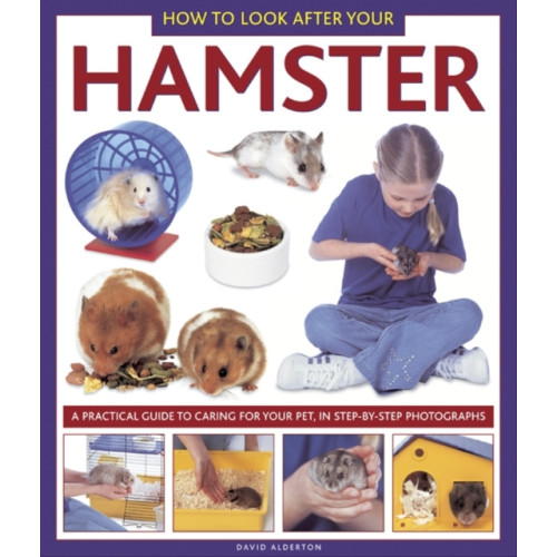 Anness publishing How to Look After Your Hamster (inbunden, eng)