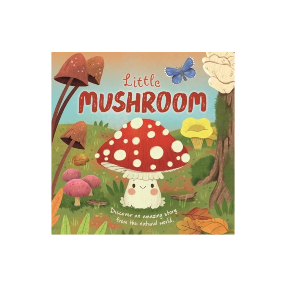 Produktbild för Little Mushroom (bok, board book, eng)