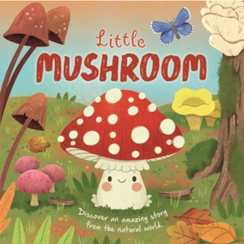 Bonnier Books Ltd Little Mushroom (bok, board book, eng)