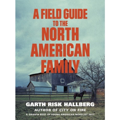 Vintage Publishing A Field Guide to the North American Family (häftad, eng)