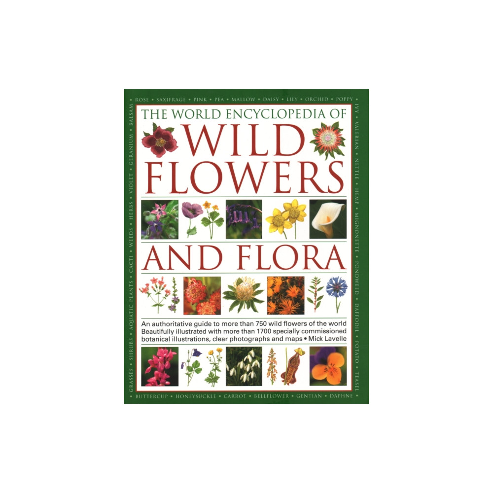 Produktbild för Wild Flowers & Flora, The World Encyclopedia of (häftad, eng)