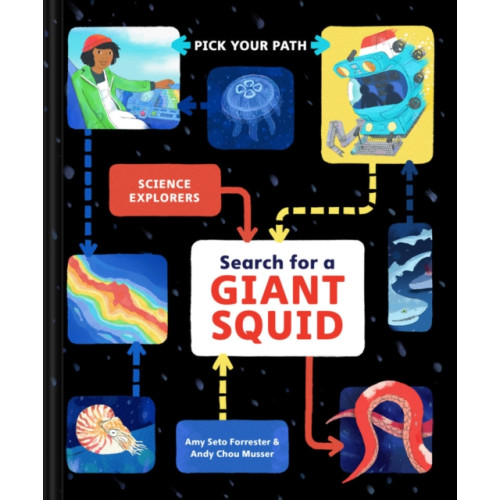 Chronicle Books Search for a Giant Squid (inbunden, eng)