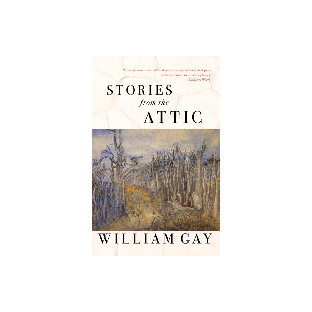 Produktbild för Stories from the Attic (häftad, eng)