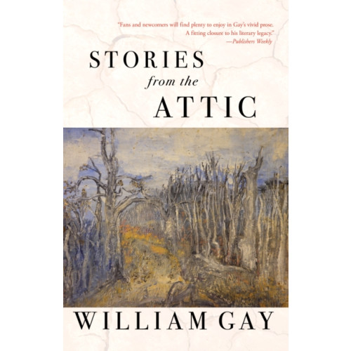 Dzanc Books Stories from the Attic (häftad, eng)