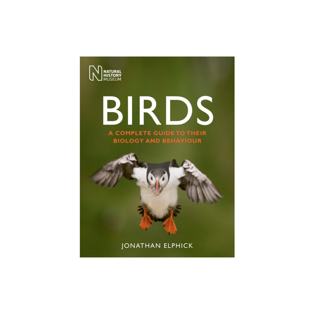 Produktbild för Birds (häftad, eng)