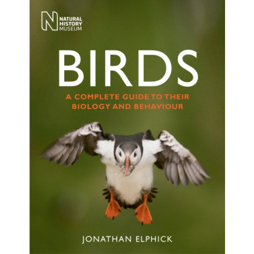 The Natural History Museum Birds (häftad, eng)