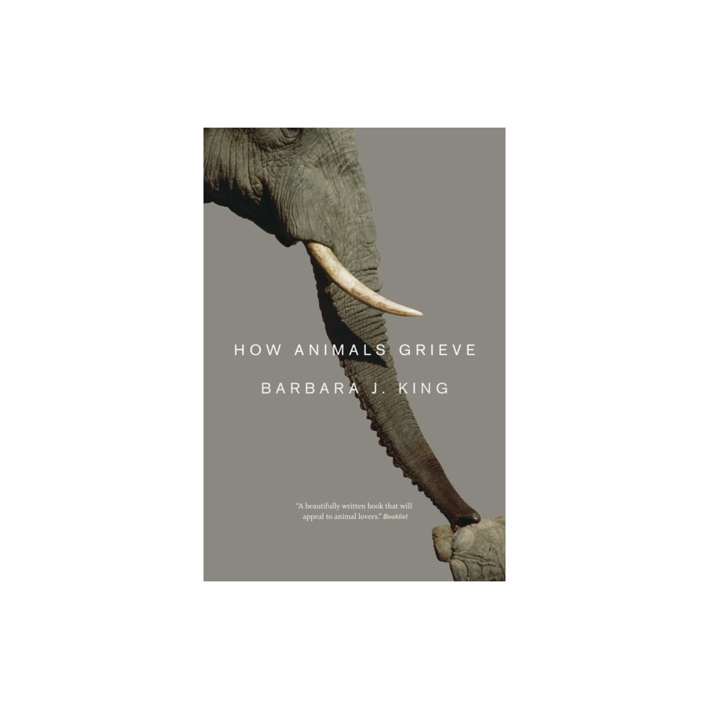 Produktbild för How Animals Grieve (häftad, eng)