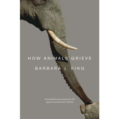 The university of chicago press How Animals Grieve (häftad, eng)