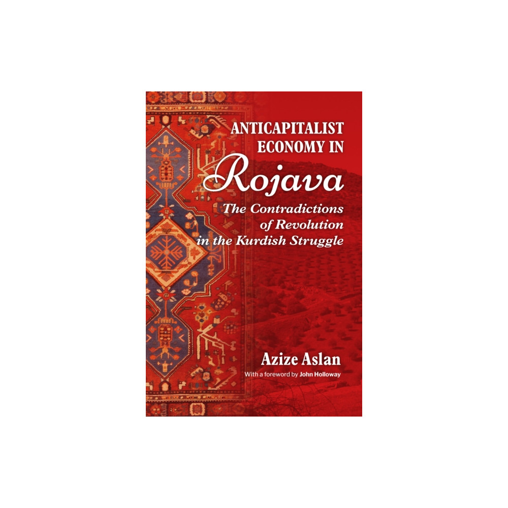 Produktbild för Anticapitalist Economy in Rojava (häftad, eng)