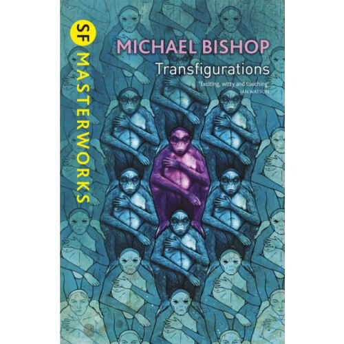 Orion Publishing Co Transfigurations (häftad, eng)