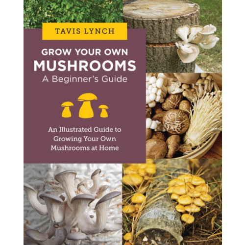 New Shoe Press Grow Your Own Mushrooms: A Beginner's Guide (häftad, eng)