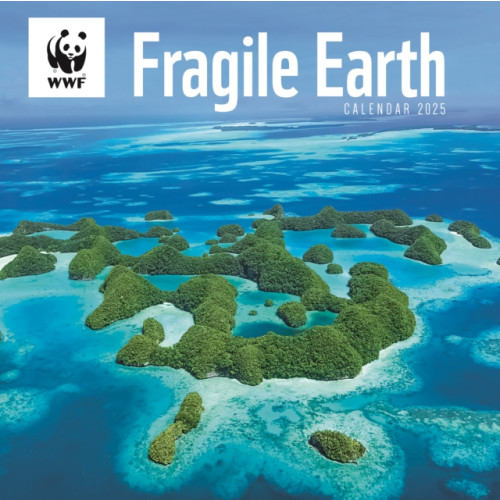 Carousel Calendars WWF Fragile Earth Square Wall Calendar 2025 (häftad, eng)