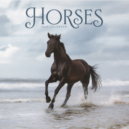 Carousel Calendars Horses Wiro Wall Calendar 2025 (häftad, eng)