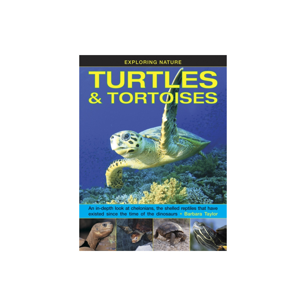 Produktbild för Exploring Nature: Turtles & Tortoises (inbunden, eng)