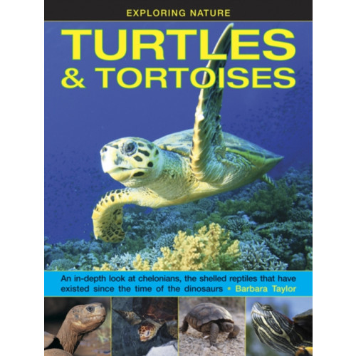 Anness publishing Exploring Nature: Turtles & Tortoises (inbunden, eng)