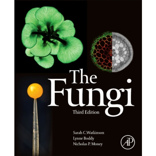 Elsevier Science Publishing Co Inc The Fungi (häftad, eng)