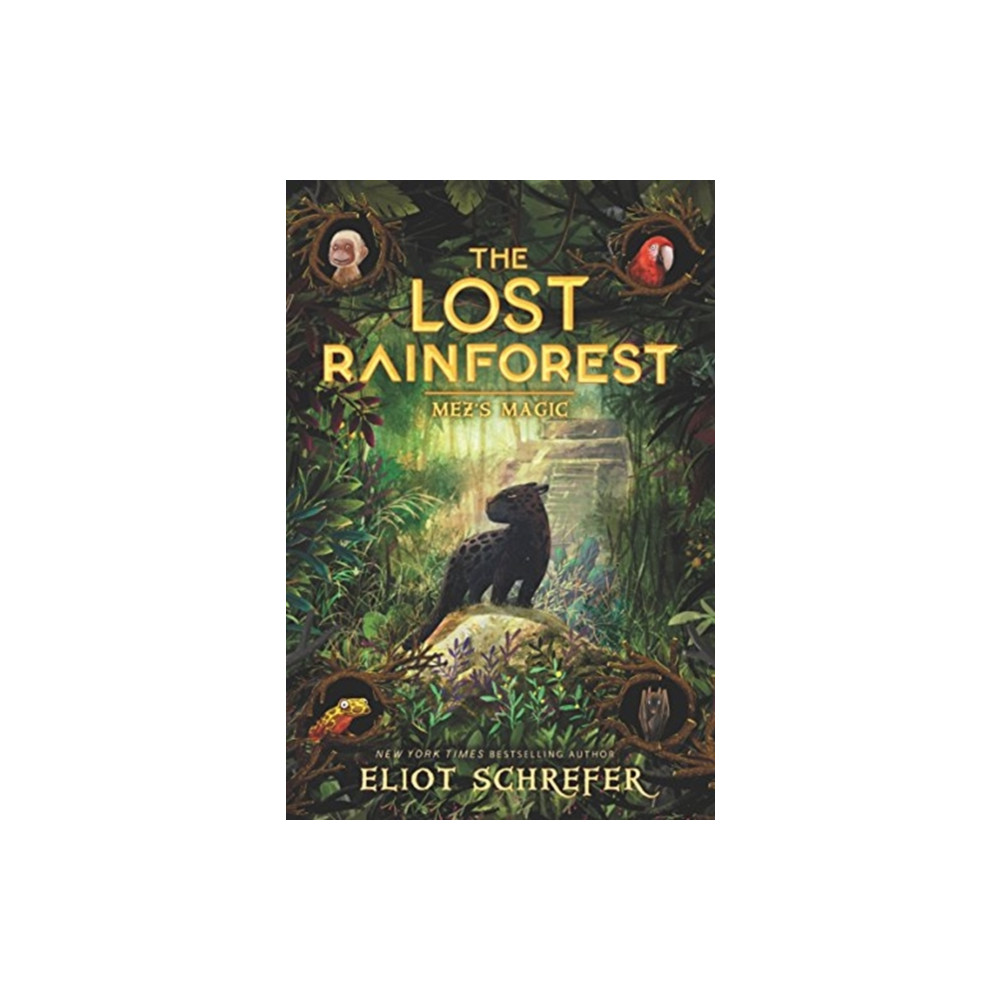 Produktbild för The Lost Rainforest #1: Mez's Magic (häftad, eng)