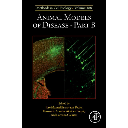 Elsevier Science Publishing Co Inc Animal Models of Disease Part B (inbunden, eng)