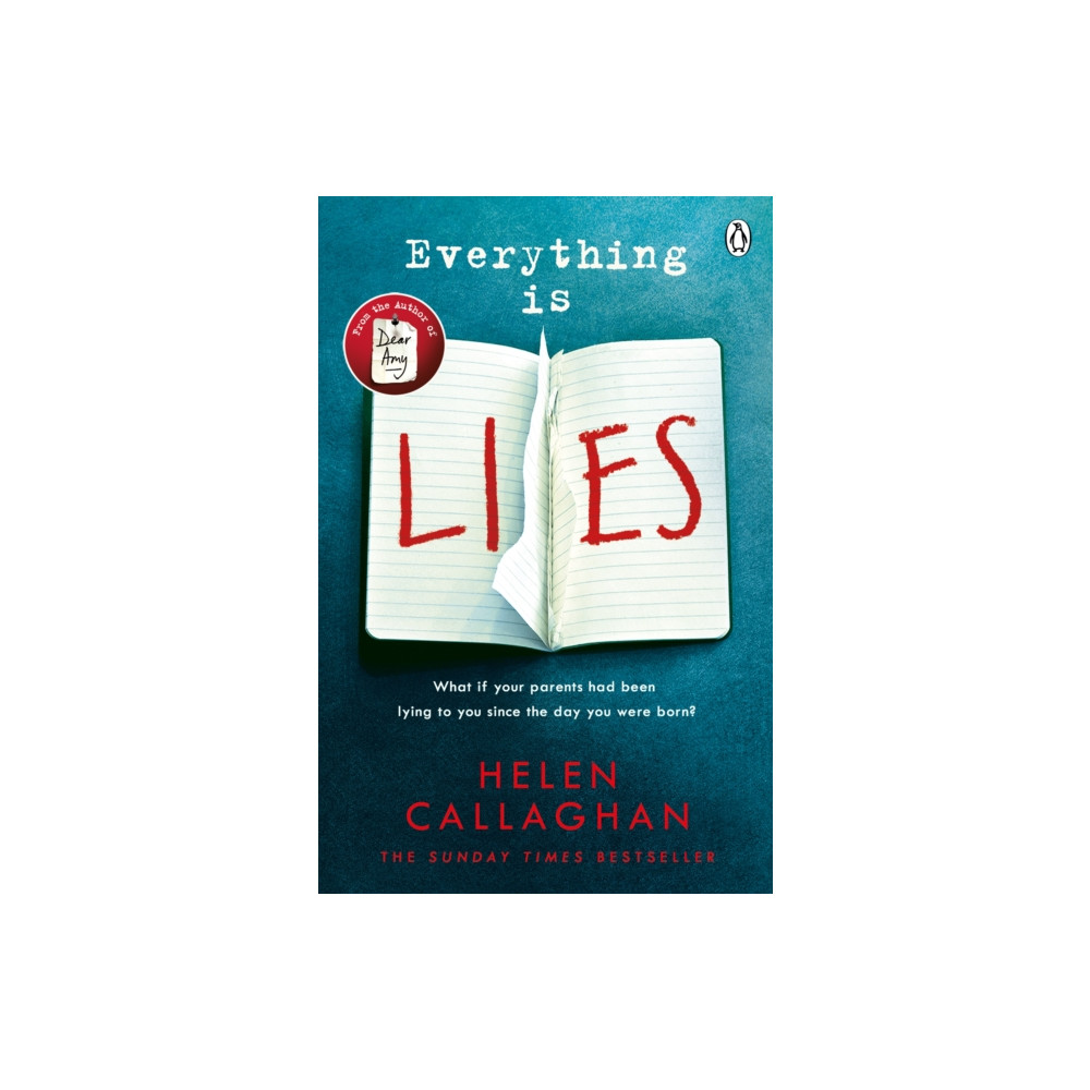 Produktbild för Everything Is Lies (häftad, eng)