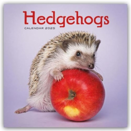 Carousel Calendars Hedgehogs Square Wall Calendar 2025 (häftad, eng)